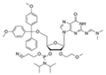 DMT-2'-O-TBDMS-G(dmf)-CE-Phosphoramidite